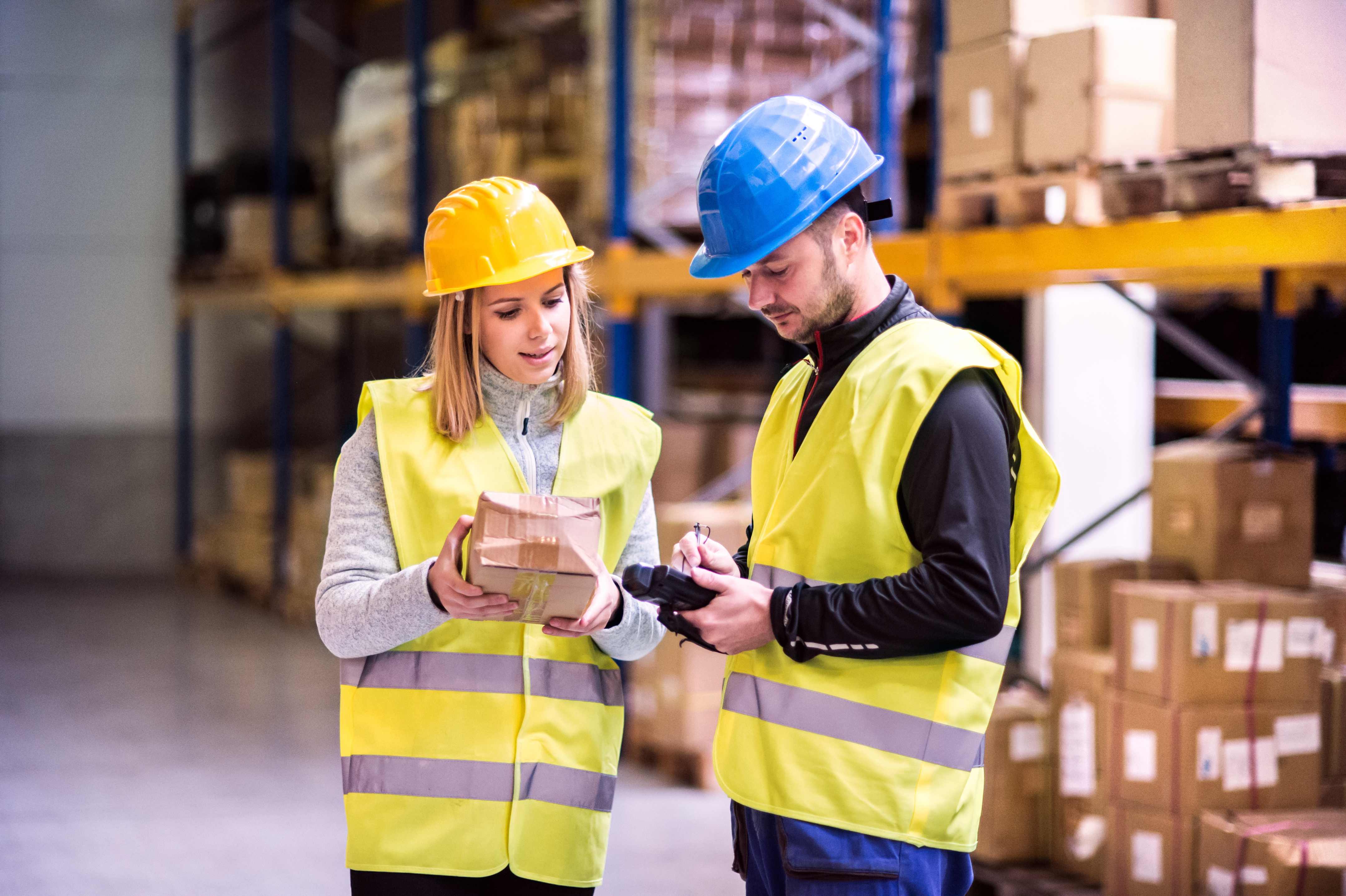 Two temporary warehouse workers in horticulture discuss their plan for the day to show the common skills they should have. 