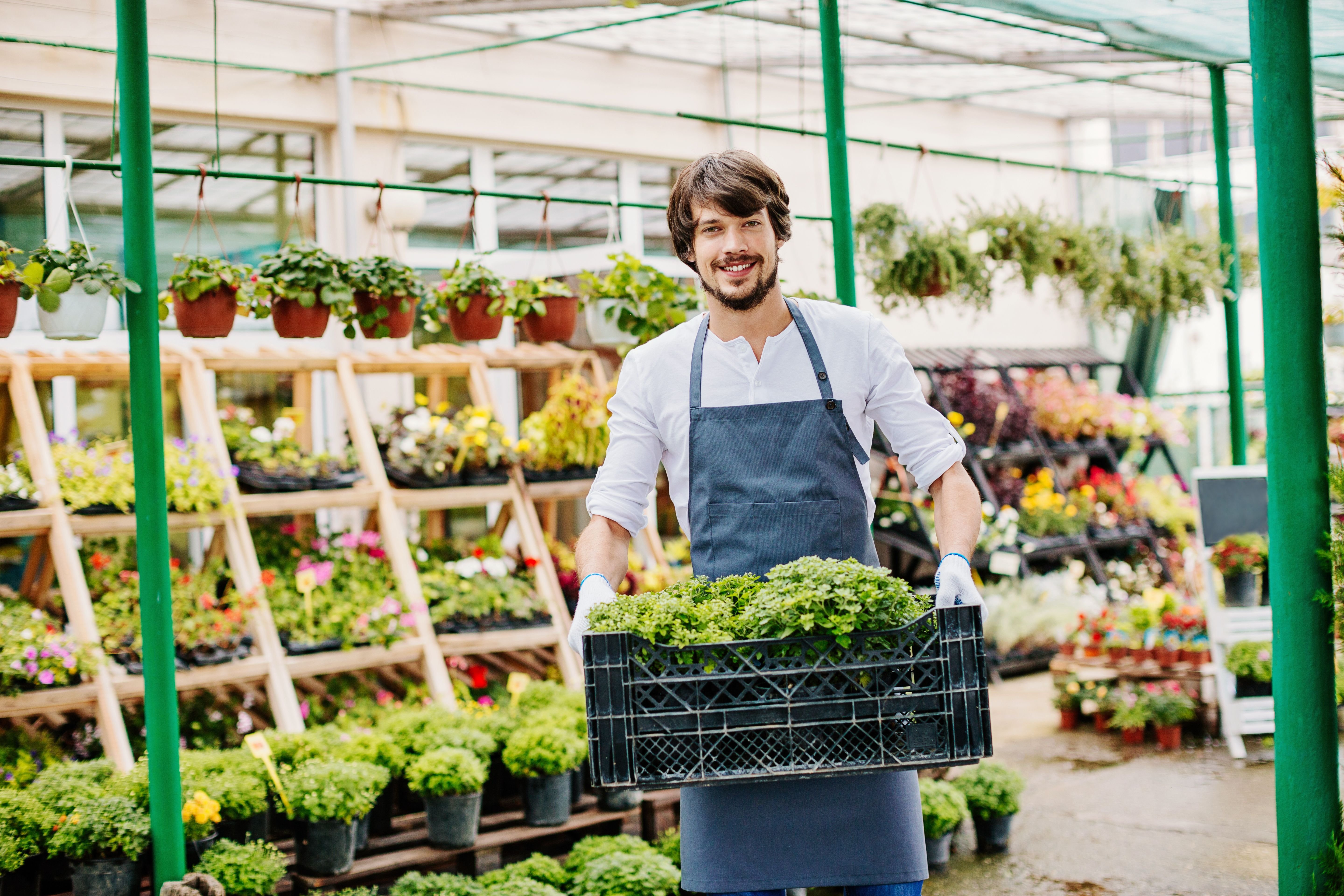 A man standing with a box of produce in a basket to show how the challenges faced in the horticulture industry affect recruitment