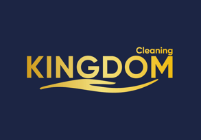 cleaning logo ss
