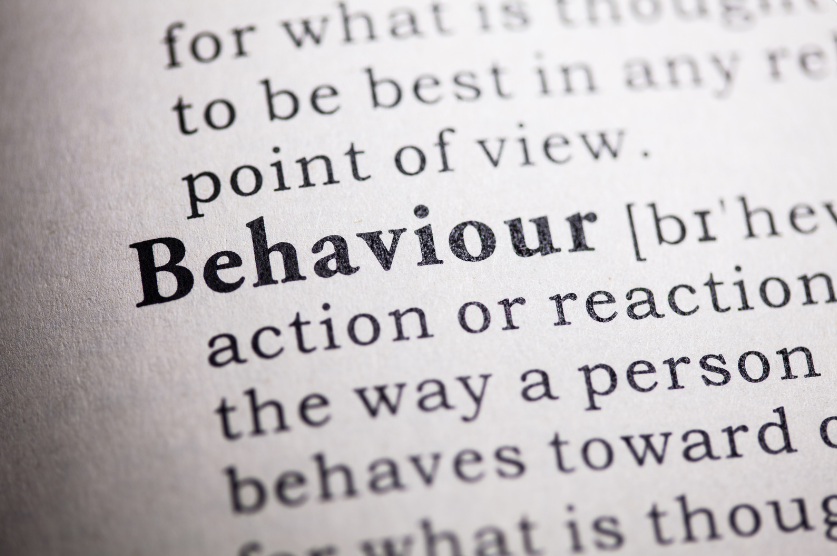 a close up of a dictionary page focusing on the word behaviour to show what local authorities should be doing to prevent antisocial behaviour